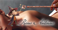 Prana Antenna (�v���[�i�E�A���e�i)